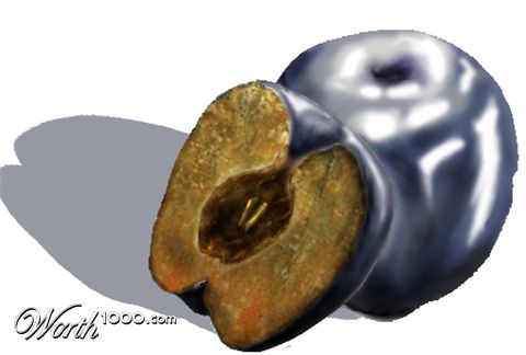 Photoshop Design by snoglow