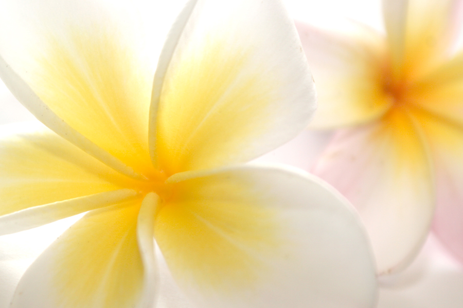 Fotografía por flash7 para DesignCrowd (Community Contests) | Diseño #9063232
