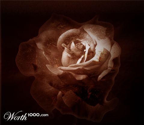 Photoshop Design by JenniferYvonne