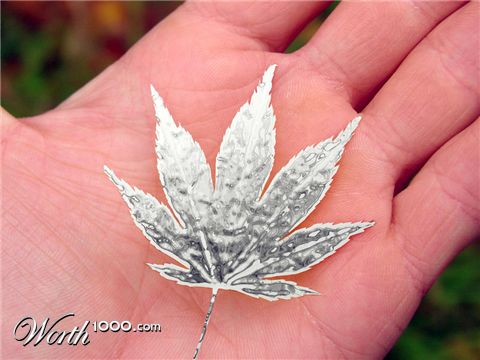 Photoshop Design by SpeedofDark