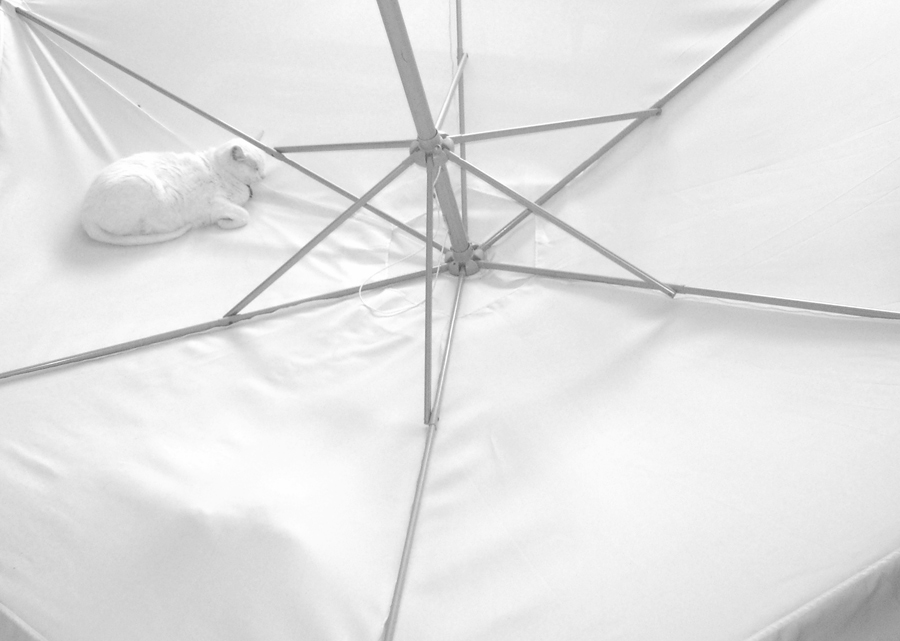 Photography by Nylotic for DesignCrowd (Community Contests) | Design #9063237