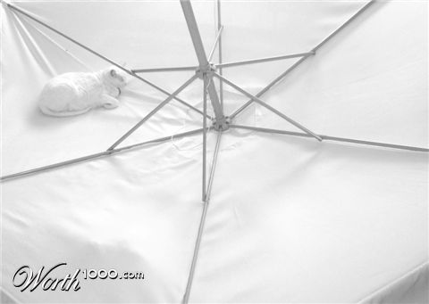 Photography by Nylotic