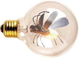 Photoshop Design by Xxxian