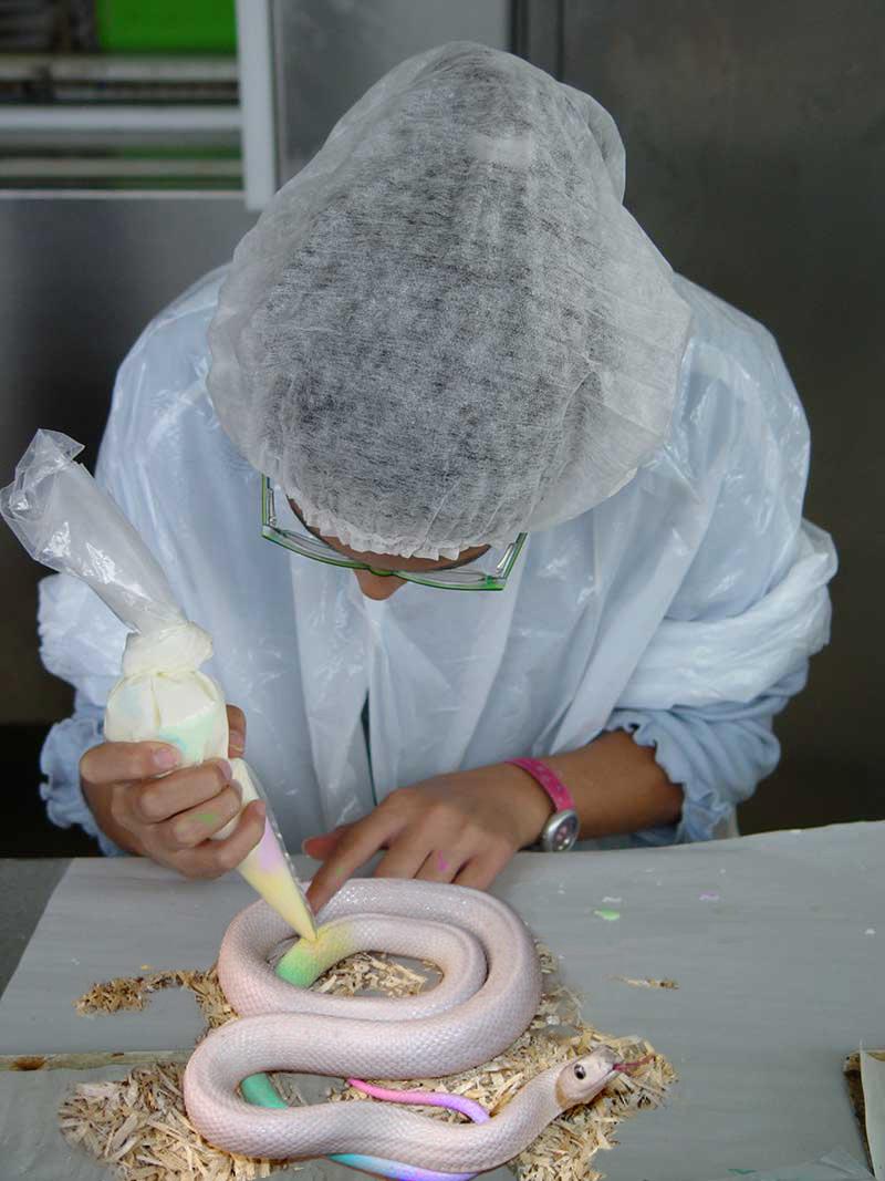 Photoshop Design by sugarcane for DesignCrowd (Community Contests) | Design #9045384