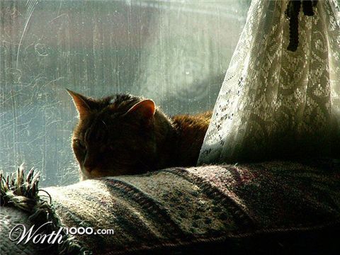 Photography by Pazaahhh