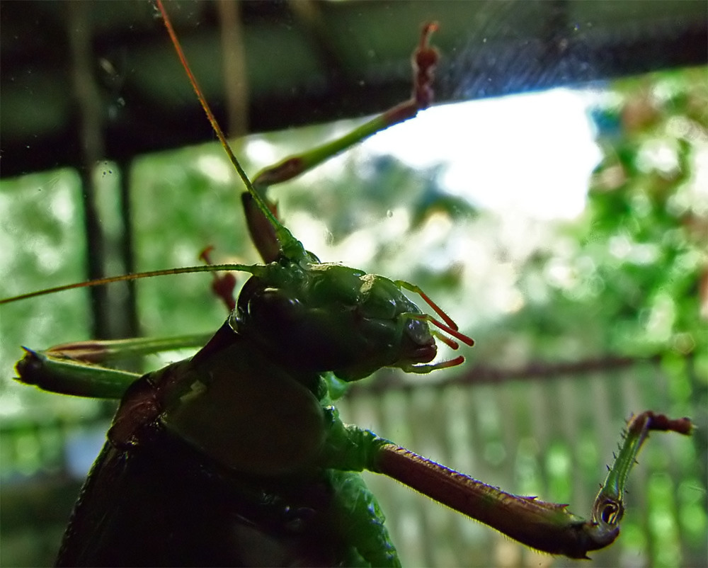 Photography by ozplasmic for DesignCrowd (Community Contests) | Design #9056848