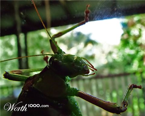 Photography by ozplasmic