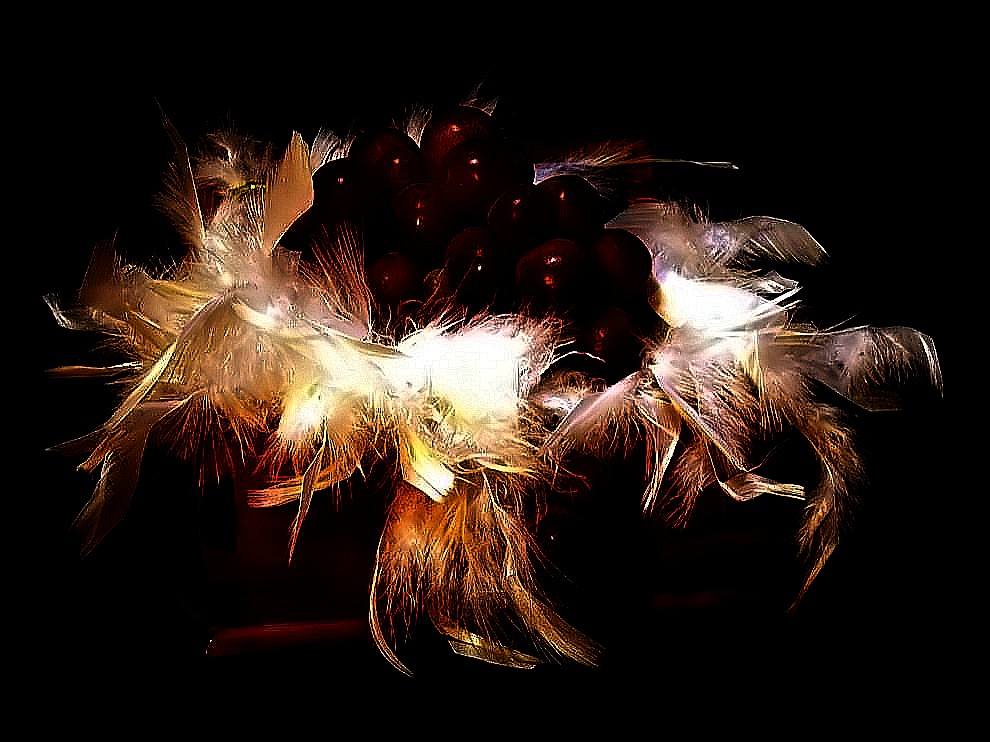 Photography by Isabella2006 for DesignCrowd (Community Contests) | Design #9045549