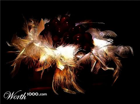 Photography by Isabella2006