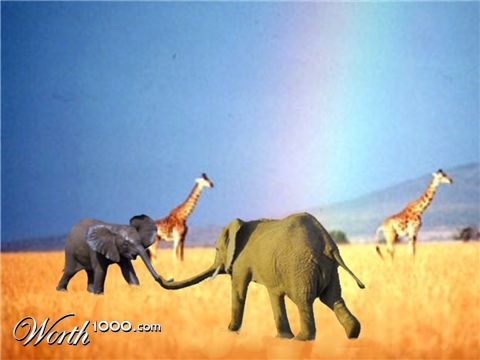 Photoshop Design by hidalgorocks