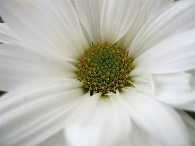 Photography by rennan for DesignCrowd (Community Contests) | Design #9063321