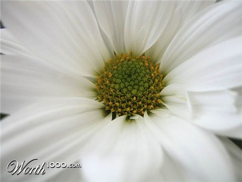 Photography by rennan