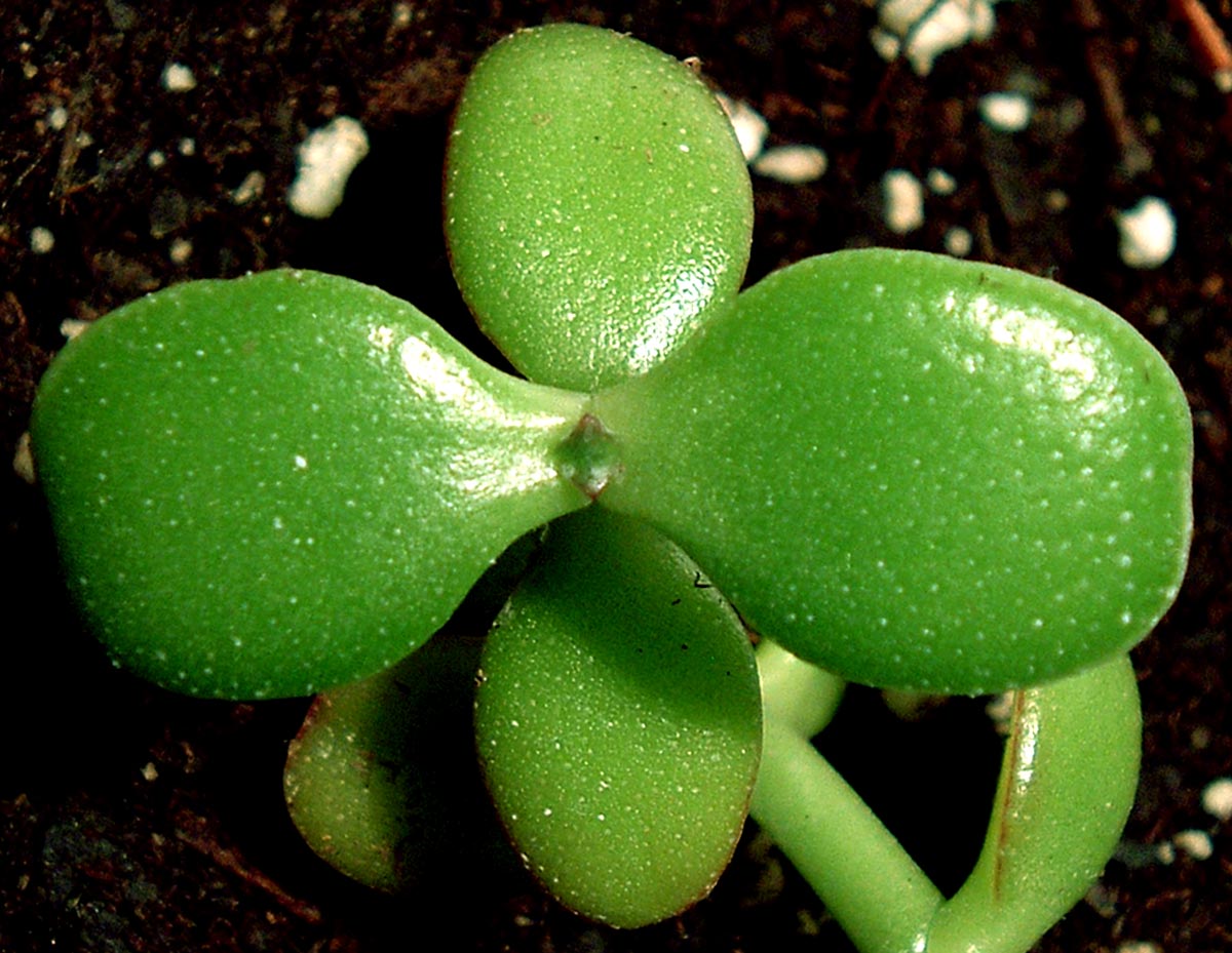 Photographie par watermarkhouse pour DesignCrowd (Community Contests) | Design #9053770