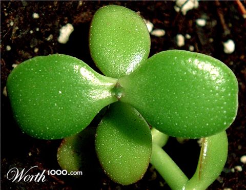 Photography by watermarkhouse