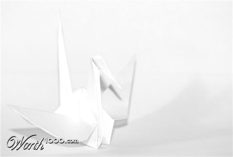 Photography by Naitsab