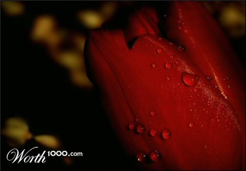 Photography by sfera01