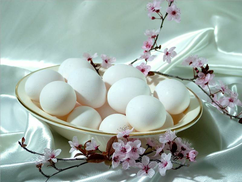 Photographie par dasteveco pour DesignCrowd (Community Contests) | Design #9063324