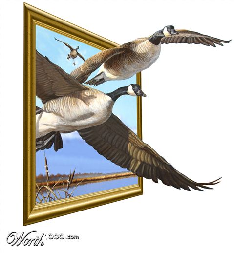 Photoshop Design by teena911