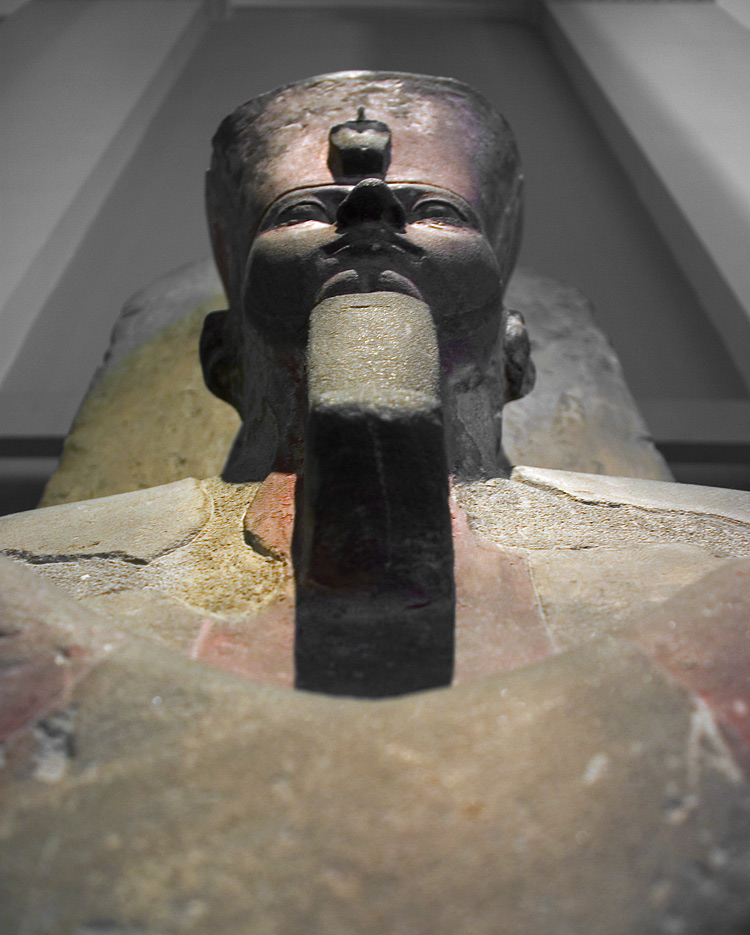 Photography by MrNelson for DesignCrowd (Community Contests) | Design #9053789