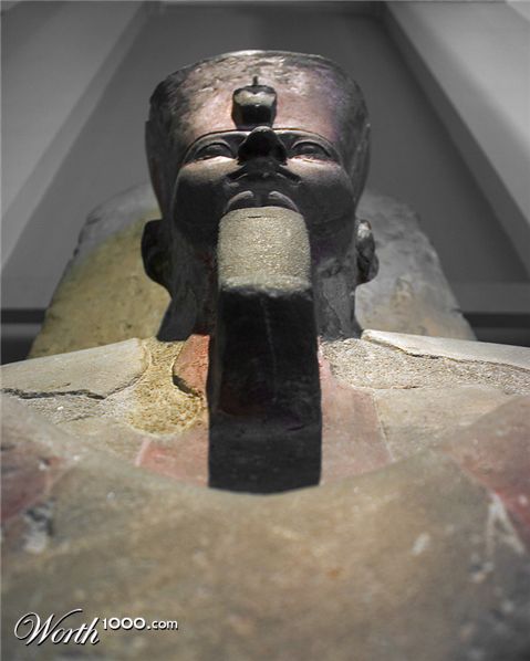 Photography by MrNelson