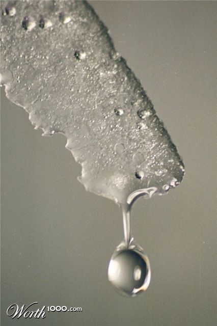 Photography by kalyangantait