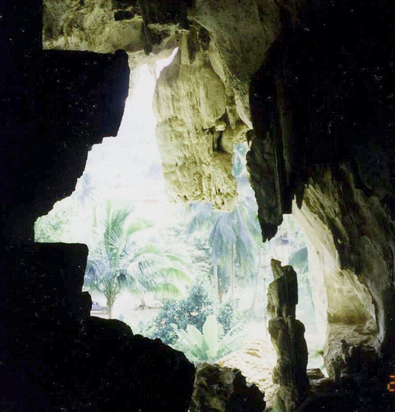 Fotografía por gymp93 para DesignCrowd (Community Contests) | Diseño #9056924