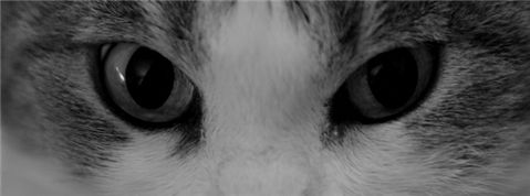 Photography by ginscambia