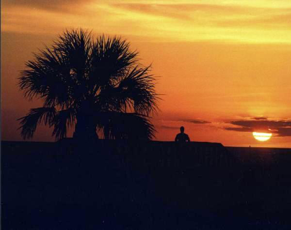 Fotografie von tgimages für DesignCrowd (Community Contests) | Design #9044546