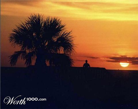 Photography by tgimages