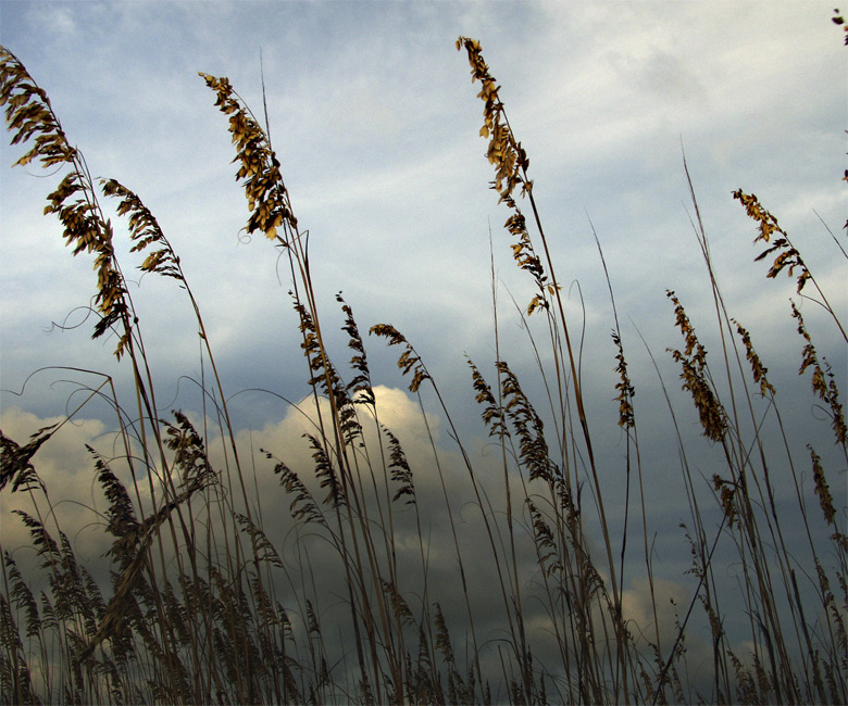 Fotografie von tgimages für DesignCrowd (Community Contests) | Design #9053801