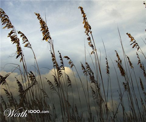 Photography by tgimages