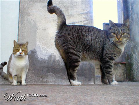 Photoshop Design by Silverhair1960