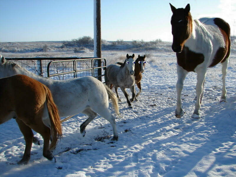 Photoshop Design by FireBallXL15 for DesignCrowd (Community Contests) | Design #9055215