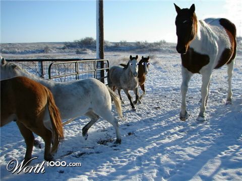 Photoshop Design by FireBallXL15