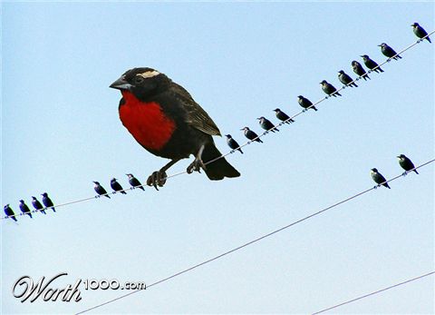 Photoshop Design by jkendrick