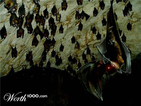 Photoshop Design by GrogAlegutz