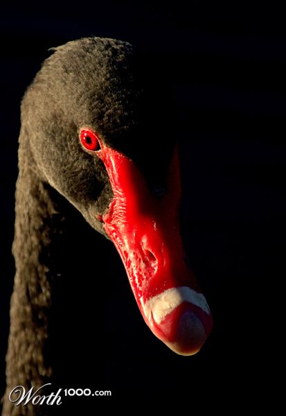 Photography by kimbomac