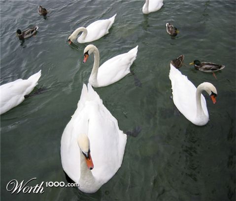 Photoshop Design by deqr00