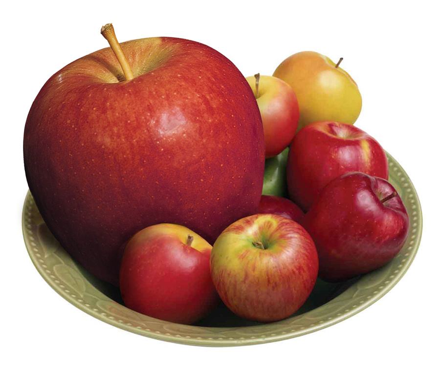 Photoshop Design by Ddallas for DesignCrowd (Community Contests) | Design #9055280