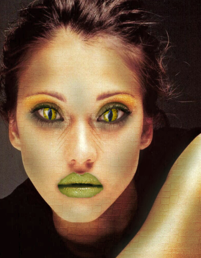 Photoshop Design by Silverhair1960 for DesignCrowd (Community Contests) | Design #9055142