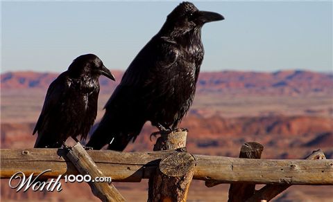 Photoshop Design by Dylkan