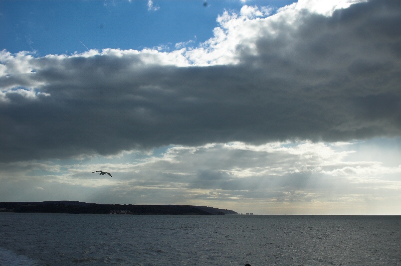 Photographie par iharding pour DesignCrowd (Community Contests) | Design #9044628