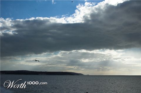 Photography by iharding