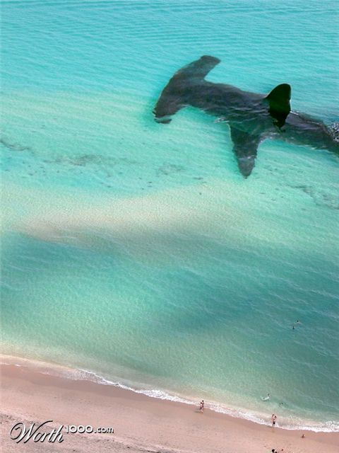 Photoshop Design by Zalgren