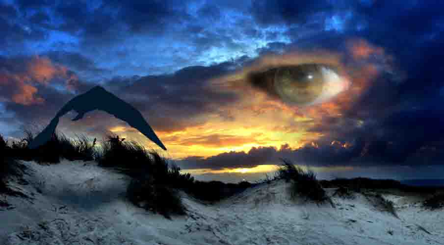 Photoshop Design by glasseyepp for DesignCrowd (Community Contests) | Design #9052371