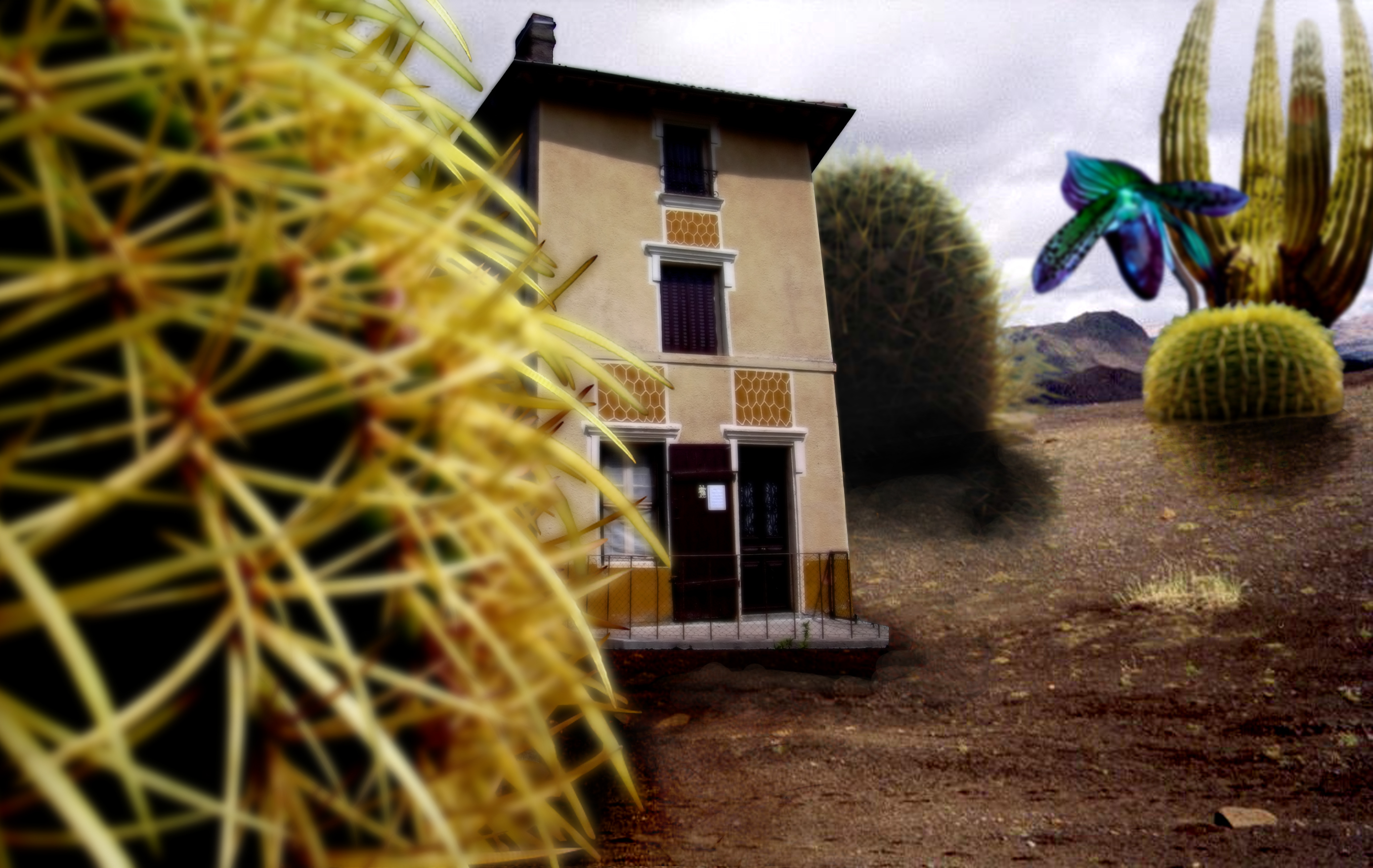 Photoshop Design by Assuna for DesignCrowd (Community Contests) | Design #9052374