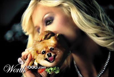 Photoshop Design by Lulusmagicalcactuar