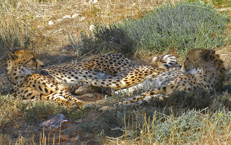 Fotografía por smarti77 para DesignCrowd (Community Contests) | Diseño #9053892