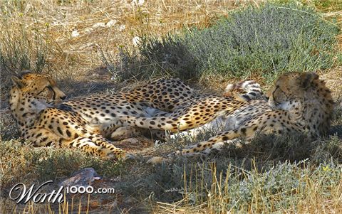 Photography by smarti77