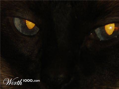 Photography by Milkbeard